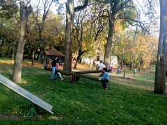 IMG_20171018_161523.jpg
